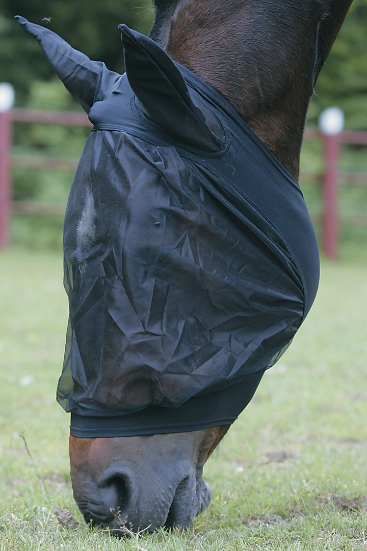Fly Hood with Ears thumbnail