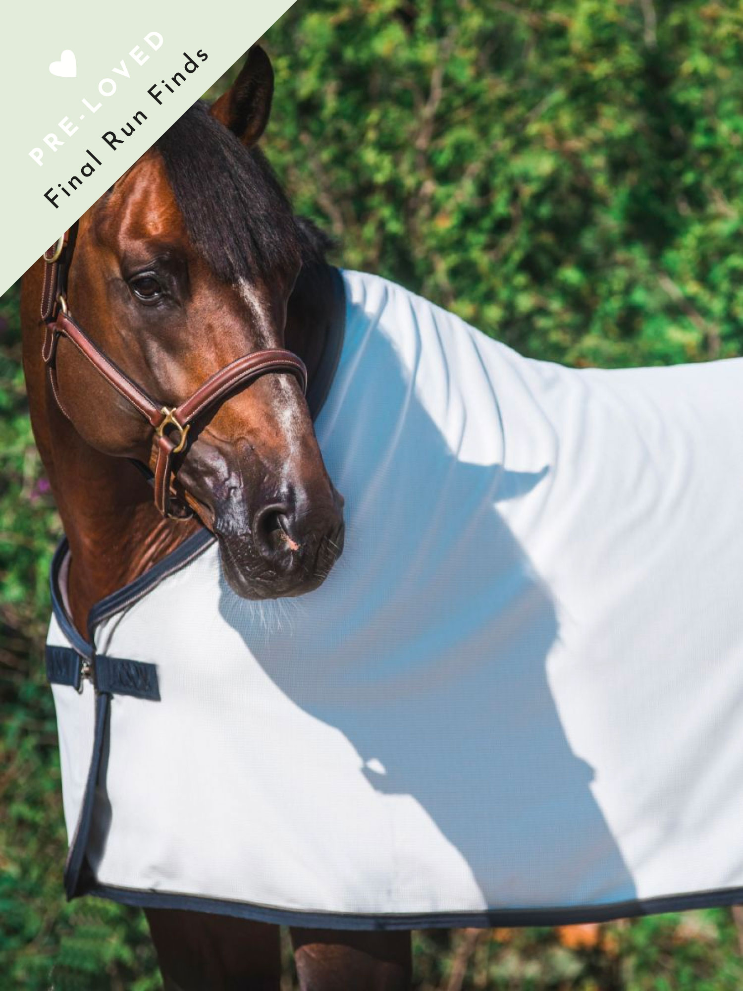 Delhi Cooler Rug thumbnail