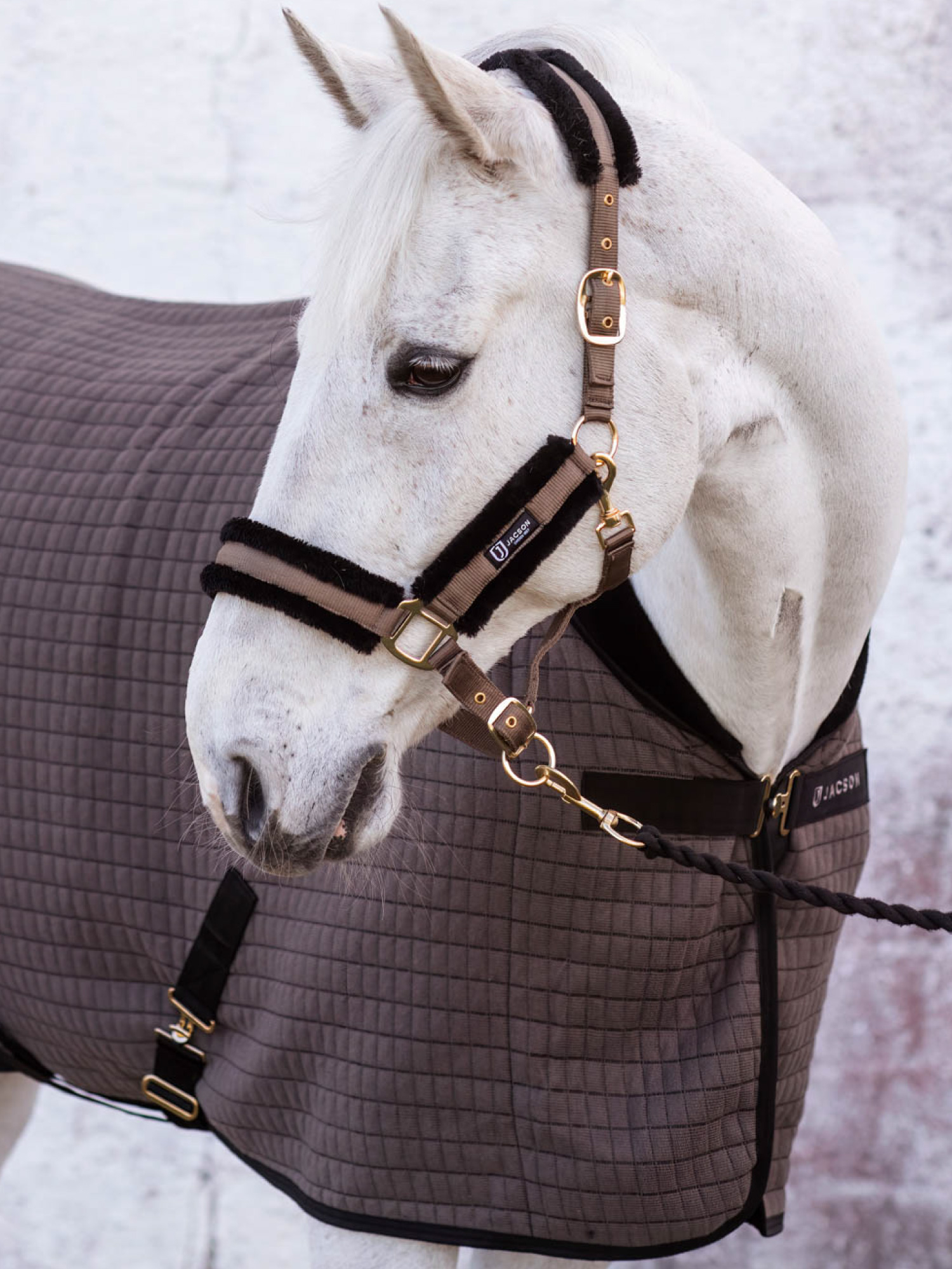 Flyinge Cooler Rug thumbnail