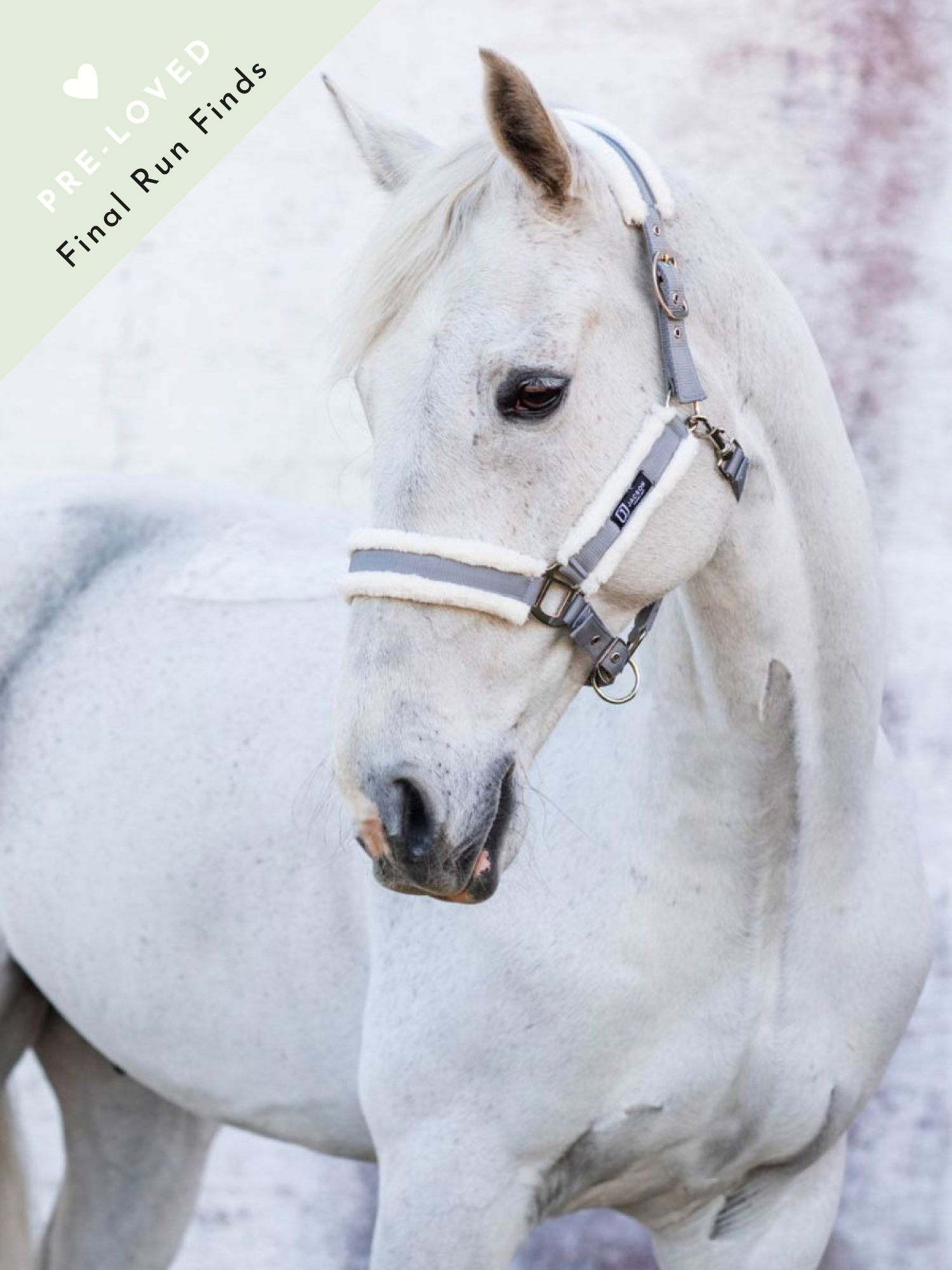 Lysekil Halter thumbnail