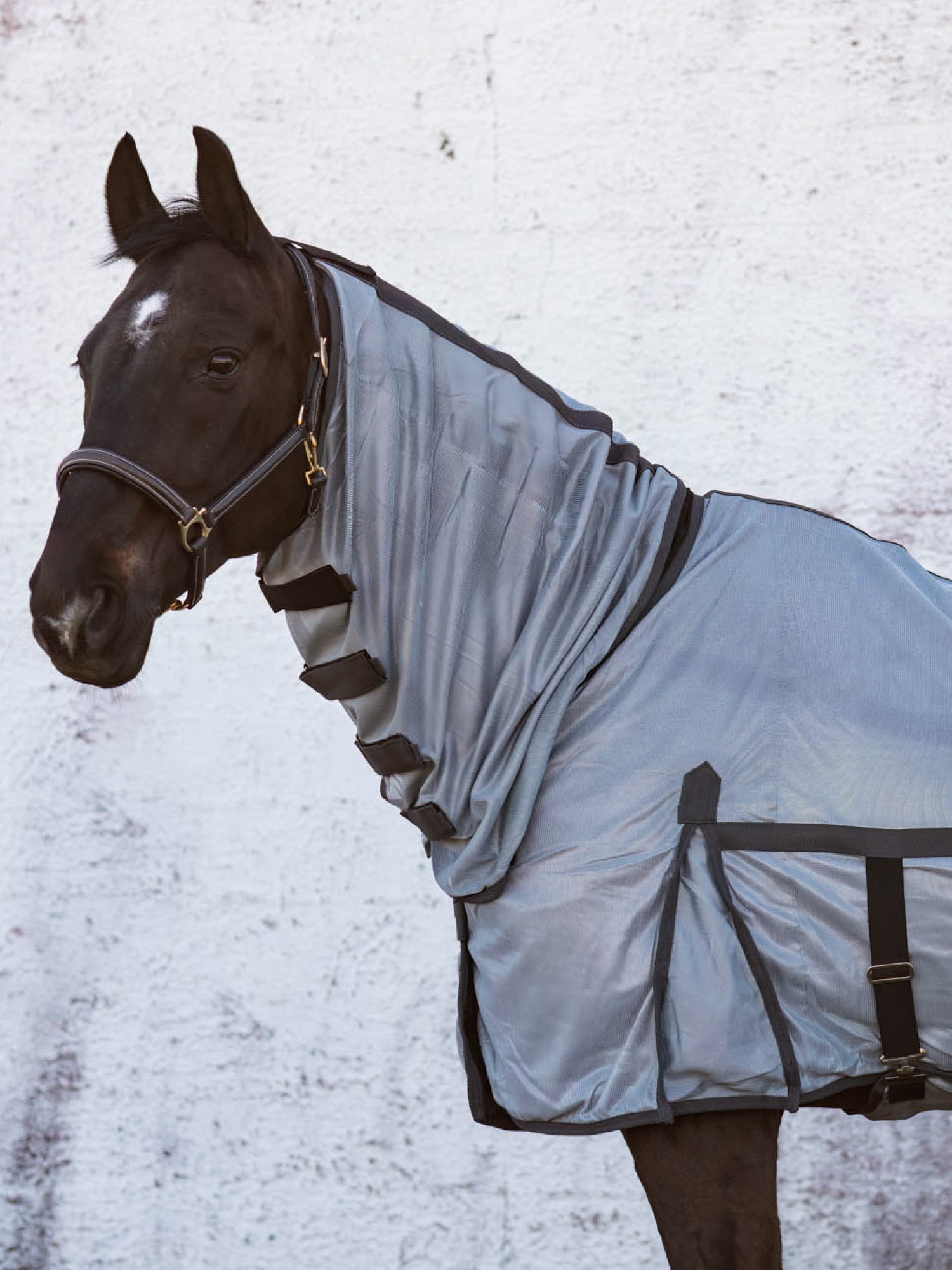 Kiruna Fly Rug with Neck thumbnail