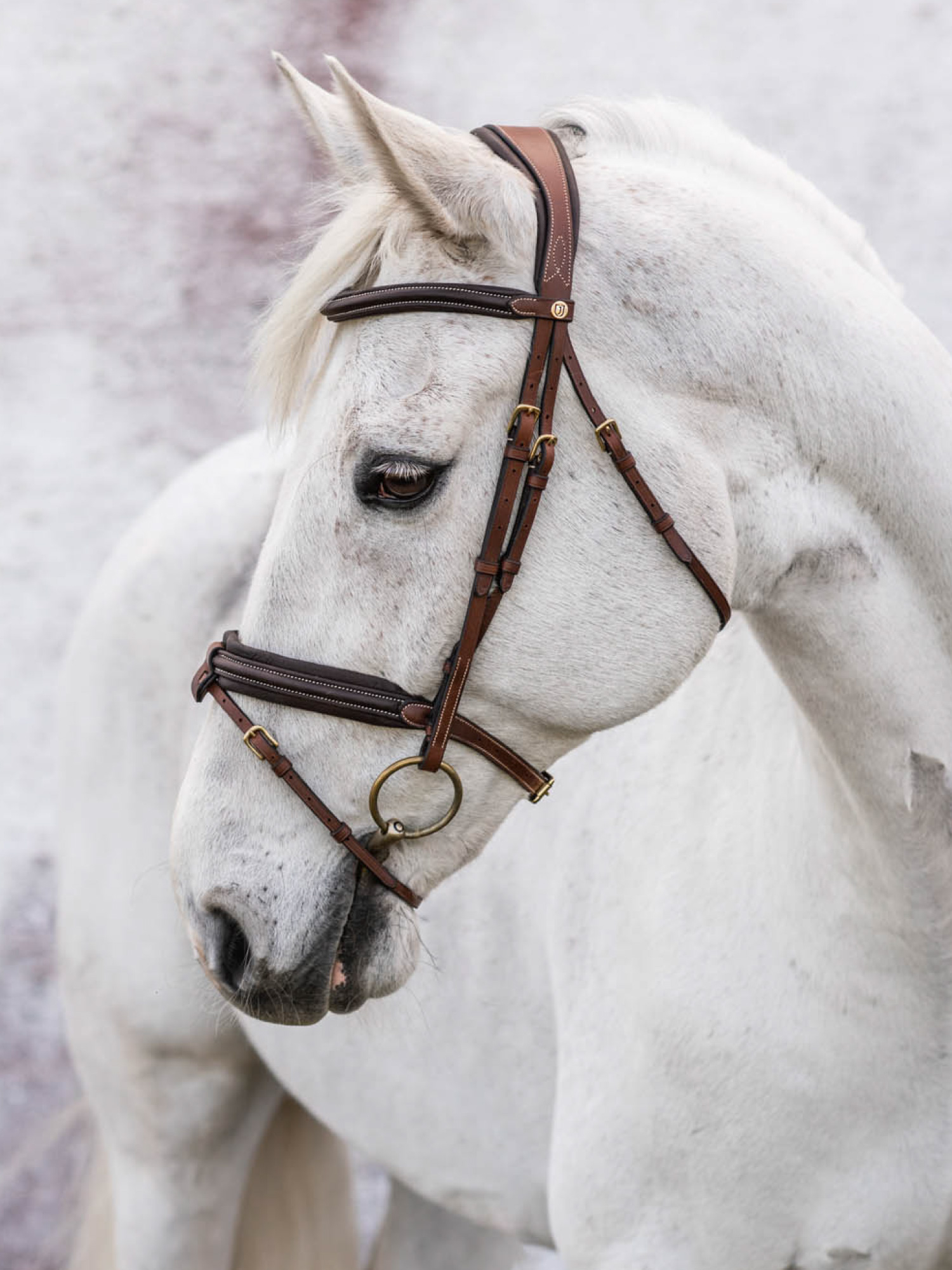 London Bridle thumbnail